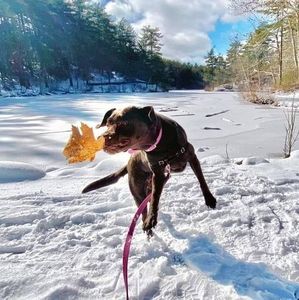 Meet your Posher, Lydia